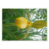 5 x 7 foto's afdrukken foto afdruk (Voorkant)