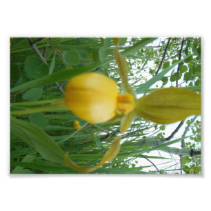 5 x 7 foto's afdrukken foto afdruk