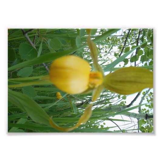 5 x 7 foto's afdrukken foto afdruk (Voorkant)