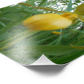 5 x 7 foto's afdrukken foto afdruk (Hoek)