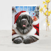 5 "x 7" gevouwen Newfoundland Dog Santa Kaart (Gele Bloem)