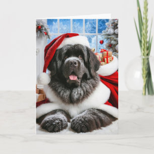 5 "x 7" gevouwen Newfoundland Dog Santa Kaart