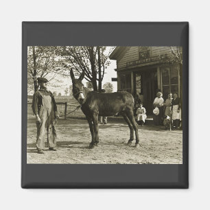 5 x 7 GLASS NEGATIVE Milwaukee Mule Magneet