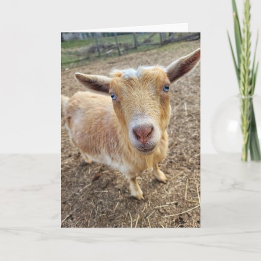 5 x 7 inch gevouwen Kaart || Ginger (Voorkant)