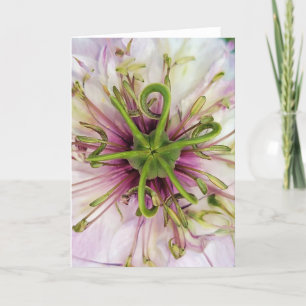 5 x 7-inch gevouwen kaart Love-in-a-Mist