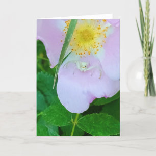 5 x 7-inch gevouwen kaart   Milin op u