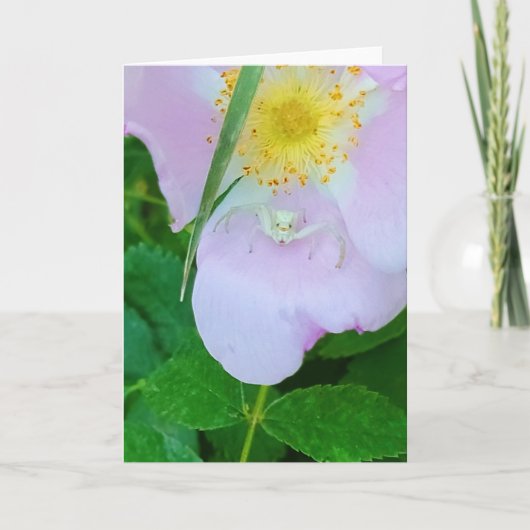 5 x 7-inch gevouwen kaart|| Milin op u Kaart (Voorkant)