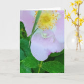 5 x 7-inch gevouwen kaart|| Milin op u Kaart (Gele Bloem)