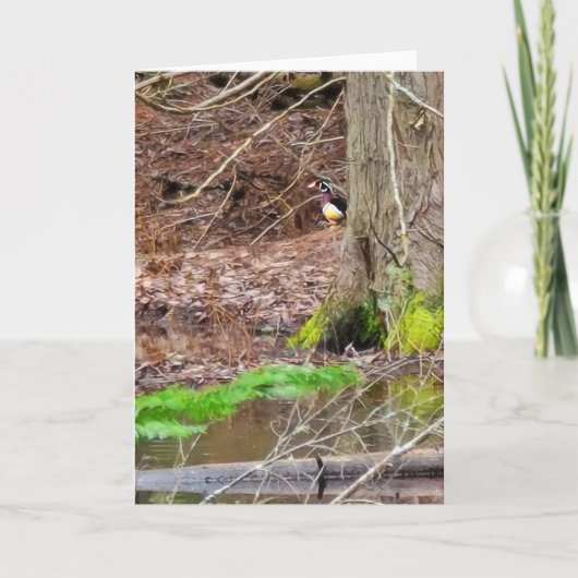 5 x 7 inch gevouwen Kaart | | Shy Wood Duck (Voorkant)