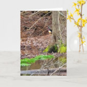 5 x 7 inch gevouwen Kaart | | Shy Wood Duck (Gele Bloem)