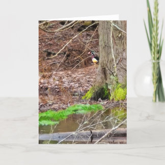 5 x 7 inch gevouwen Kaart | | Shy Wood Duck