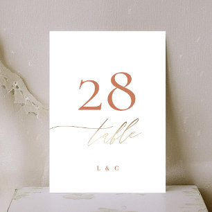 5 x 7 Terracotta Elegant Goud Trouwtafel Nummer