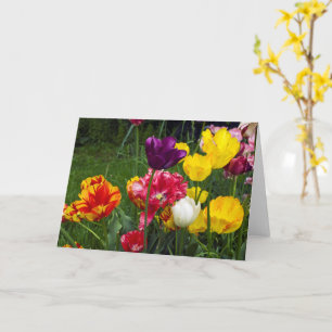 5" x 7" Vouwkaart Kaart