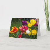 5" x 7" Vouwkaart Kaart (Voorkant)