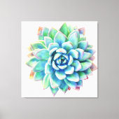 5ft x 5ft extra grote succulent canvas print (Voorkant)