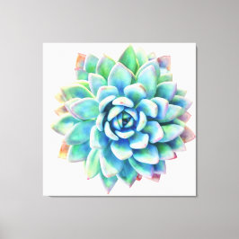 5ft x 5ft extra grote succulent canvas print
