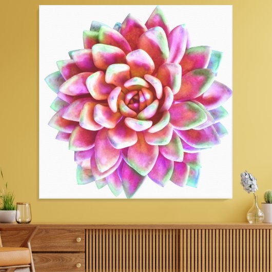 5ft x 5ft extra grote succulent canvas print (Insitu (Woonkamer))