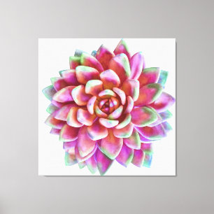 5ft x 5ft extra grote succulent canvas print