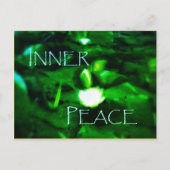 5INER PEACE WATERLILY BRIEFKAART (Voorkant)