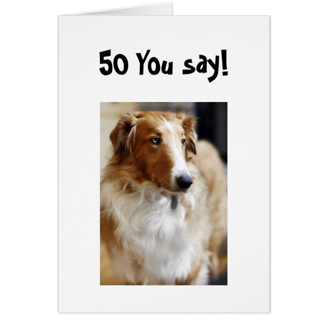 5O ZEG JE! (Voorkant)