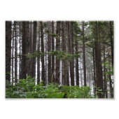 5X7 2e strand Foto Afdruk (Voorkant)