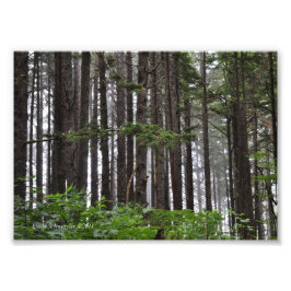 5X7 2e strand Foto Afdruk