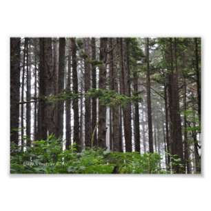 5X7 2e strand Foto Afdruk