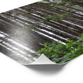 5X7 2e strand Foto Afdruk (Hoek)