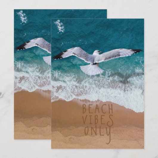 5x7 alleen tapelab voor zeeslangen (Voorkant / Achterkant)