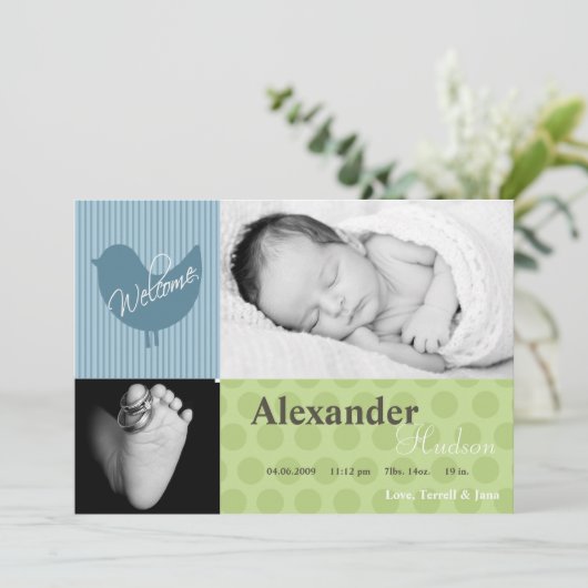 5x7 Baby Boy Blue Bird Foto Aankondiging Geboorte (Staand voorkant)
