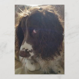 5x7 blanco verjaardagskaart kaart