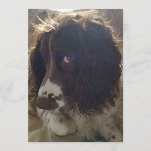 5x7 blanco verjaardagskaart kaart