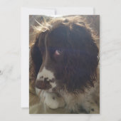 5x7 blanco verjaardagskaart kaart (Voorkant)