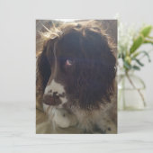 5x7 blanco verjaardagskaart kaart (Staand voorkant)