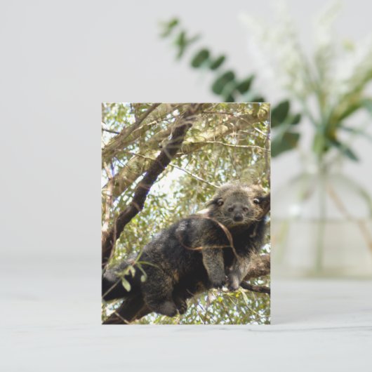 5x7 Briefkaart Sjabloon (Staand voorkant)