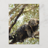 5x7 Briefkaart Sjabloon (Voorkant)