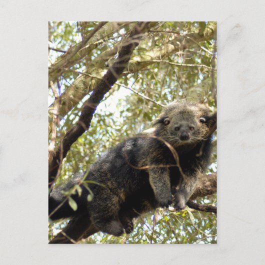 5x7 Briefkaart Sjabloon (Voorkant)