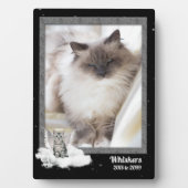 5x7 Cat Pet Memorial Silver Tabblad Foto Fotoplaat (voorkant)