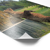 5x7 foto van grizzly beer foto afdruk (Hoek)