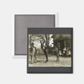 5x7 GLAS NEGATIEVE Milwaukee Mule Magneet (Voorkant / Achterkant)