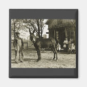 5x7 GLAS NEGATIEVE Milwaukee Mule Magneet (Voorkant)