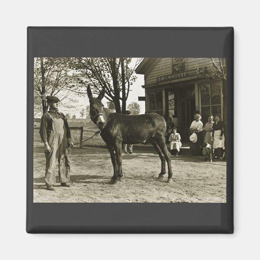 5x7 GLAS NEGATIEVE Milwaukee Mule Magneet (Voorkant)