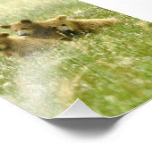 5x7 grizzly beren Foto afdrukken (Hoek)