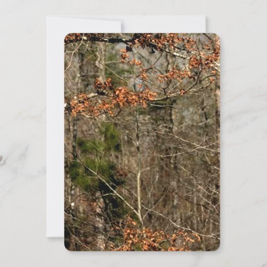 5x7 Hunting Deer Doe Buck Camo Wedding Invitation Kaart (Achterkant)