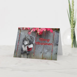 5x7 kerstkaart met Mr. Squirrel Bedankkaart