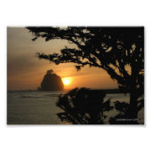 5X7 La Push, Washington Foto Afdruk (Voorkant)