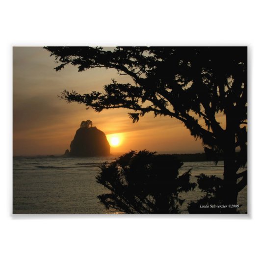 5X7 La Push, Washington Foto Afdruk (Voorkant)