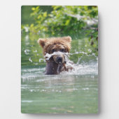 5x7 met Easel van grizzly beer cub Fotoplaat (voorkant)