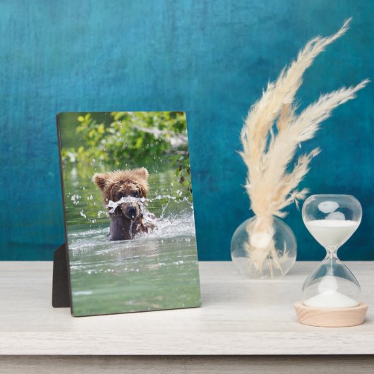 5x7 met Easel van grizzly beer cub Fotoplaat (Zijkant)