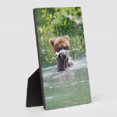 5x7 met Easel van grizzly beer cub Fotoplaat (Zijkant)